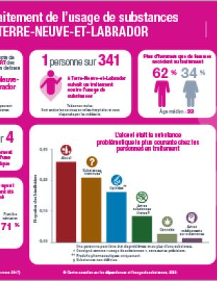 Traitement de l’usage de substances à Terre-Neuve-et-Labrador en 2016–2017 [infographie]