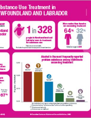 Substance Use Treatment in Newfoundland and Labrador 2017–2018 [infographic]