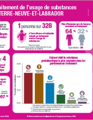 Traitement de l’usage de substances à Terre-Neuve-et-Labrador en 2017–2018