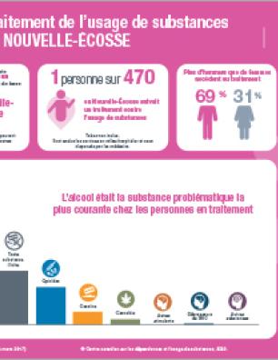 Traitement de l’usage de substances en Nouvelle-Écosse en 2016–2017 [infographie]