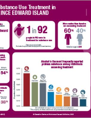 Substance Use Treatment in Prince Edward Island 2016–2017 [infographic]