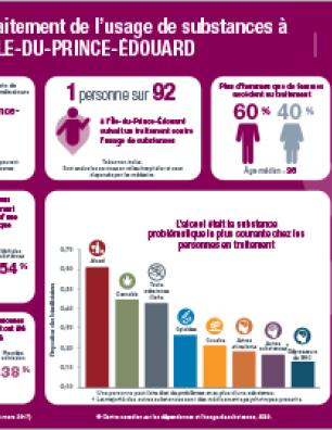 Traitement de l’usage de substances à l’Île-du-Prince-Édouard en 2016–2017 [infographie]