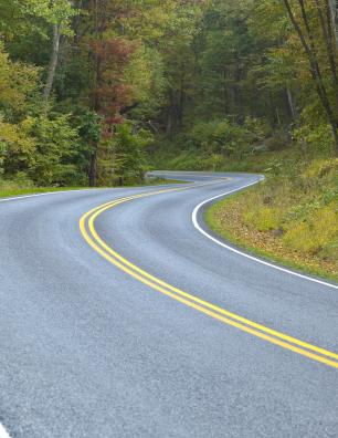 A winding road in the forest