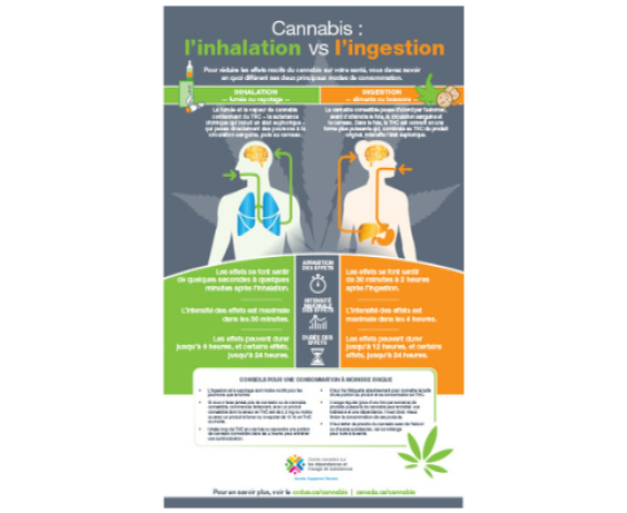 Cannabis : l’inhalation vs l’ingestion