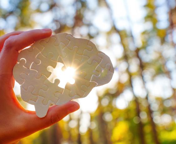 Faux modèle de cerveau composé de pièces de puzzle.