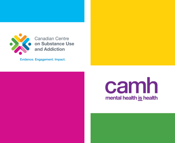 CCSA logo and camh logo.